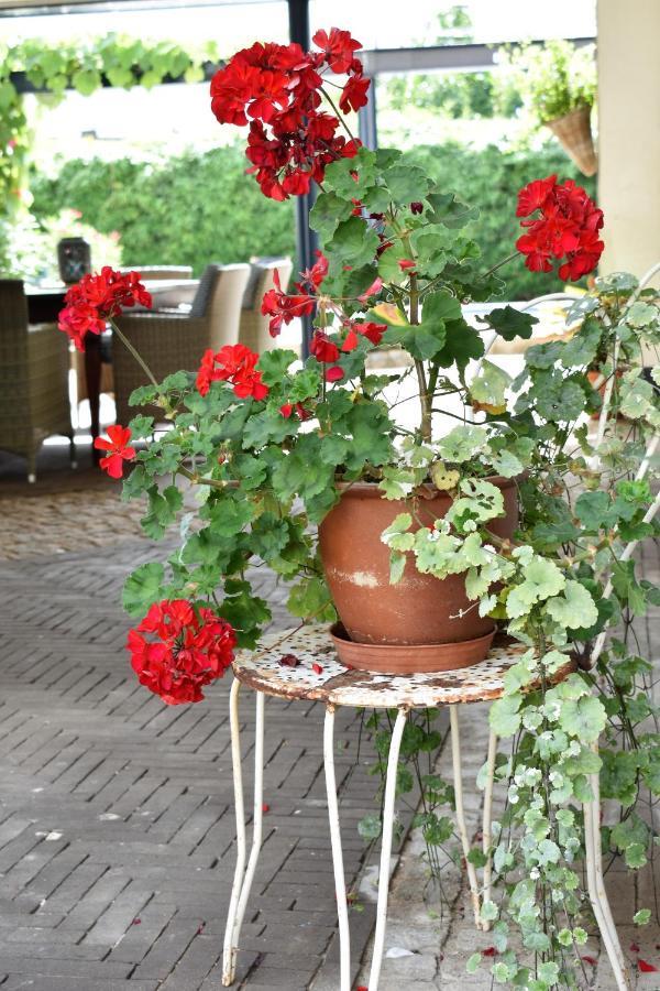 De Oude Limonadefabriek Bed & Breakfast Beek  Bagian luar foto