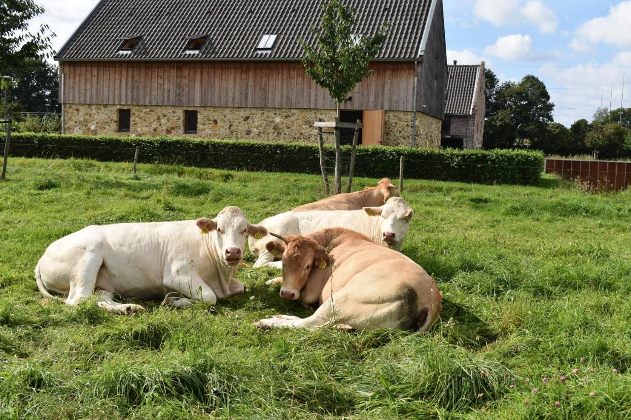 De Oude Limonadefabriek Bed & Breakfast Beek  Bagian luar foto